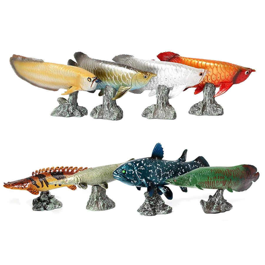 Kids Toys Reviews - Arowana Pirarucu Coelacanth Bichir Alligator fish