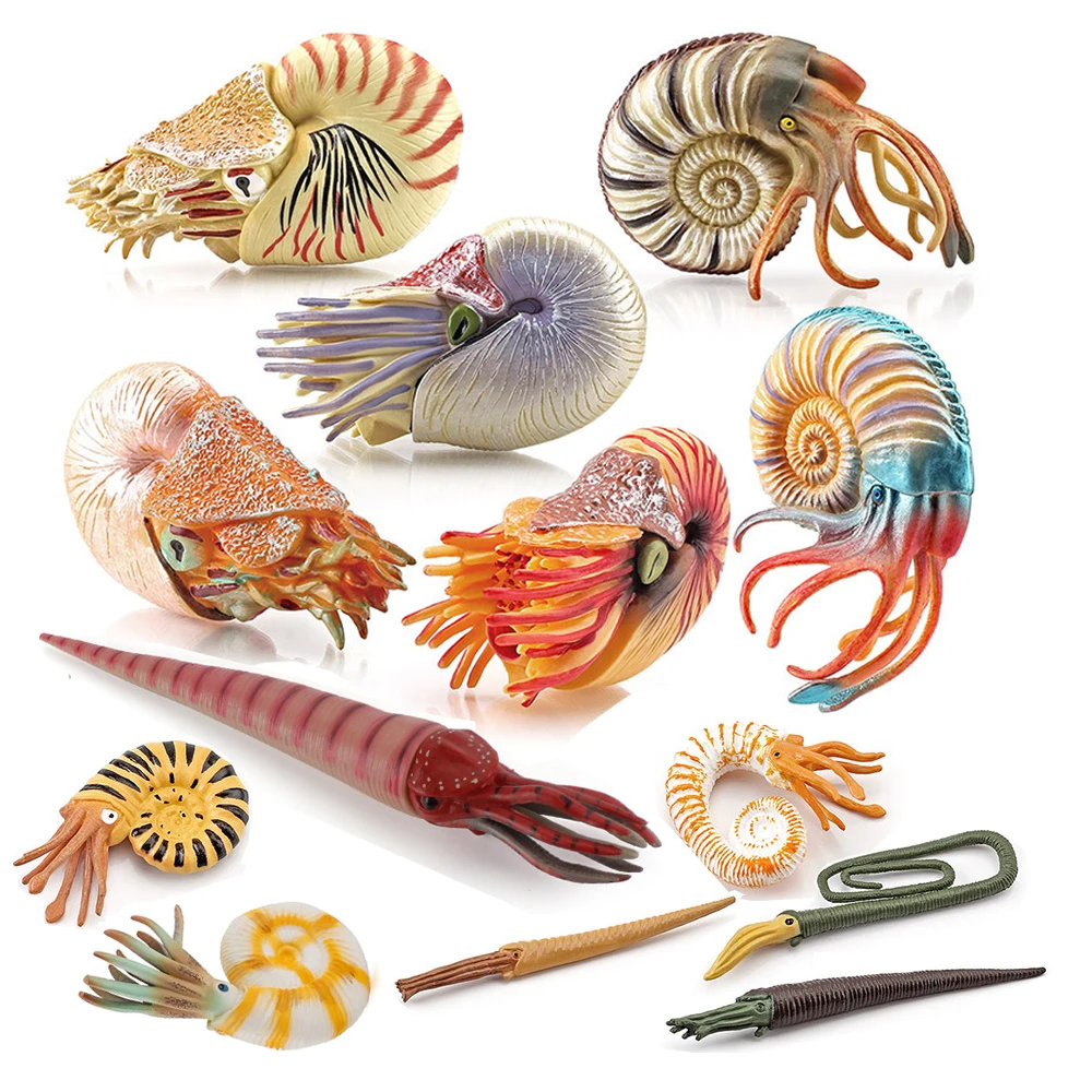 Kids Toys Reviews - Marine toy animals Nautilus Figure Cameroceras