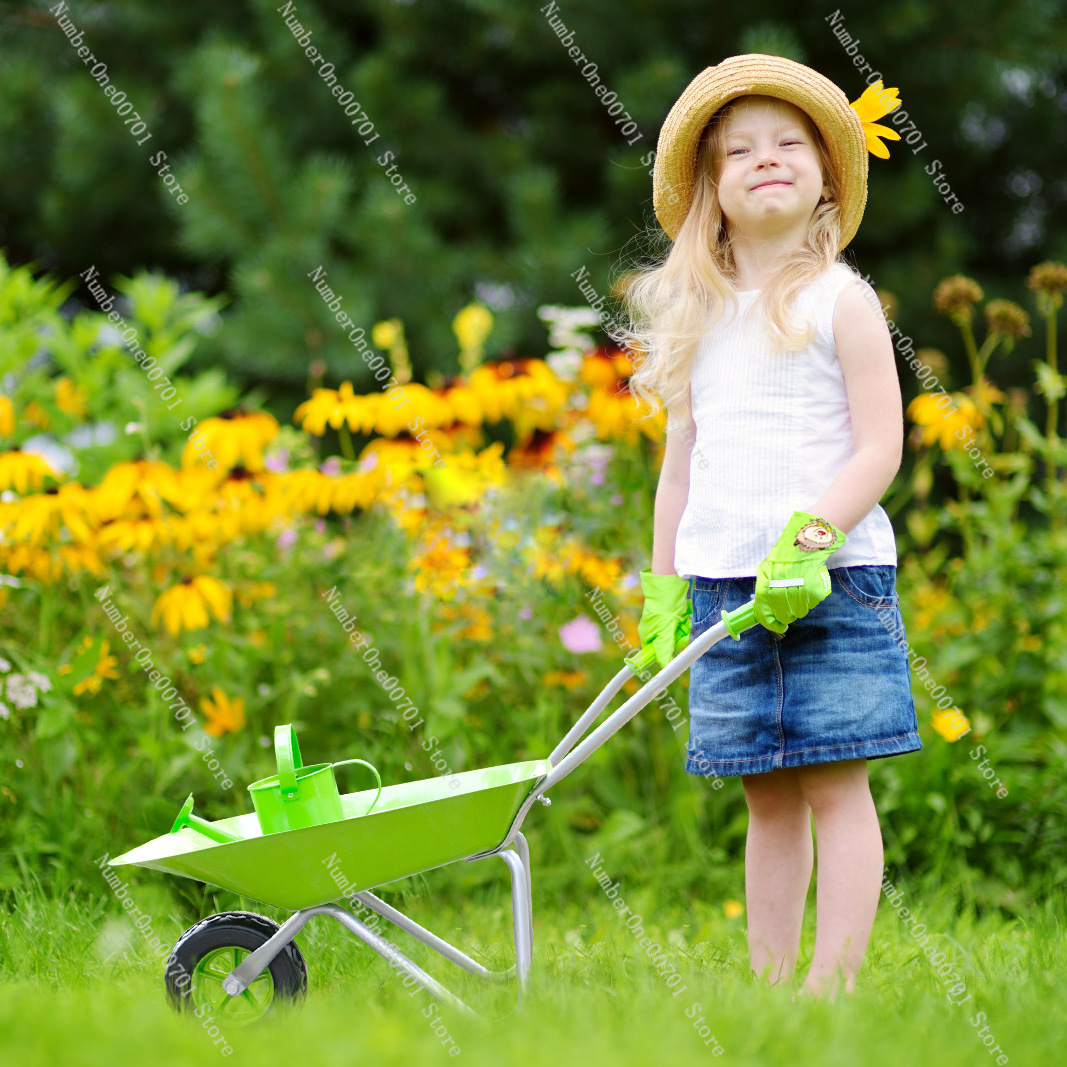 Kids Outdoor Wheelbarrow, Gree - Kids Toys Play ulasan dan harga